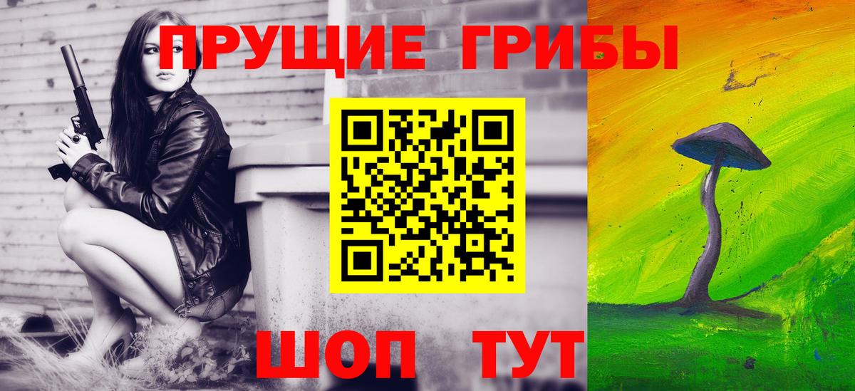 Псилоцибиновые грибы Psilocybe Ступино